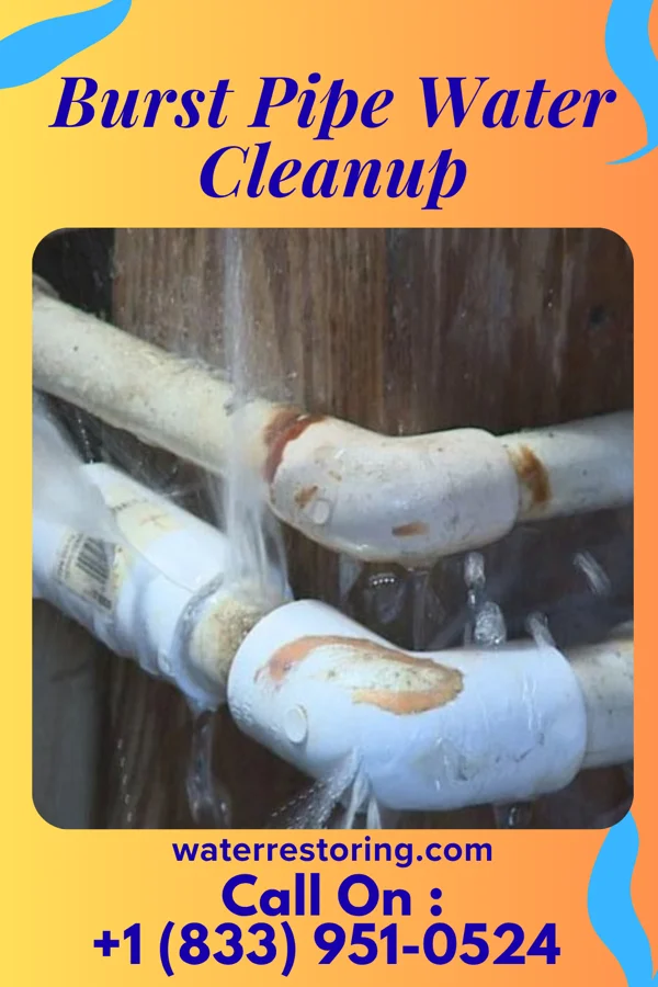 Burst Pipe Water Cleanup in Harwood, ND