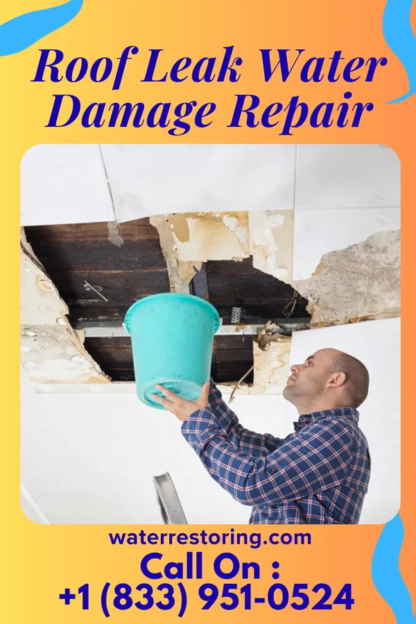 Roof Leak Water Damage Repair in Harwood, ND